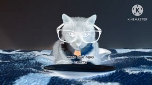 ИГРА ЗА УЧИТЕЛЯ - КОТИКИ В ШКОЛЕ в соль мажор