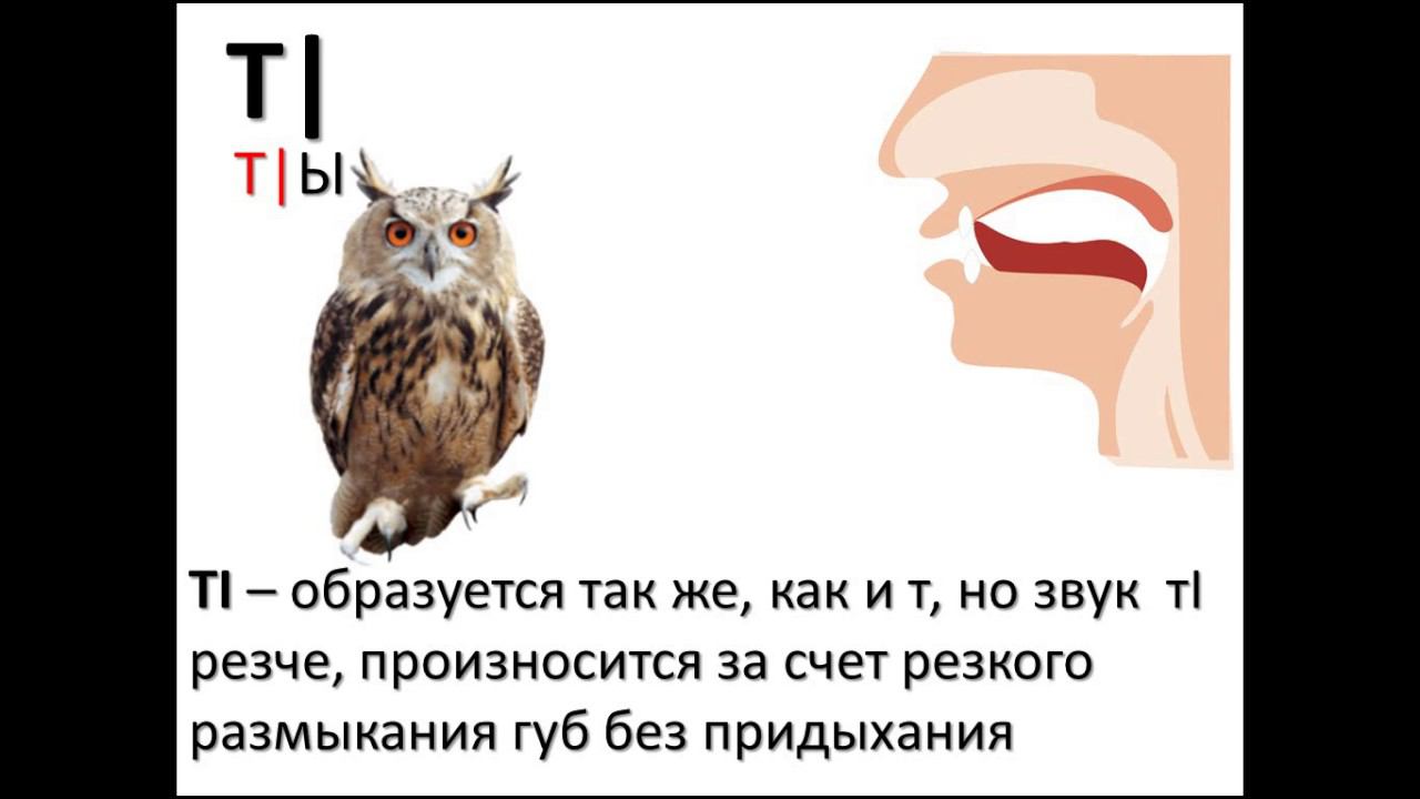 Видеоурок: обучение абазинскому языку. 72 занятие