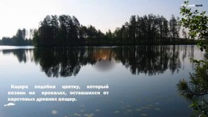 Вязниковское СИНЕБОРЬЕ. Озерный край. Кщара. Древняя славянская земля.