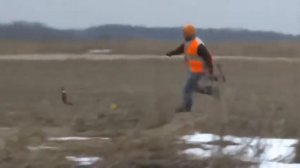 Охота на фазана с луком!!!