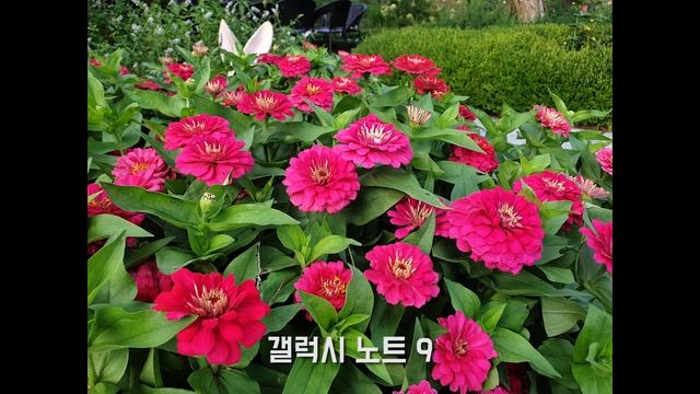 [잡담] 갤럭시 노트9 vs SONY 미러리스 카메라(NEX-C3) 사진 비교(Feat. CIS) смотреть онлайн