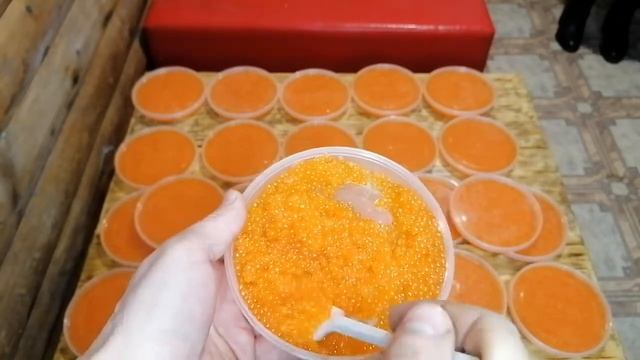 Икра форели смотреть онлайн