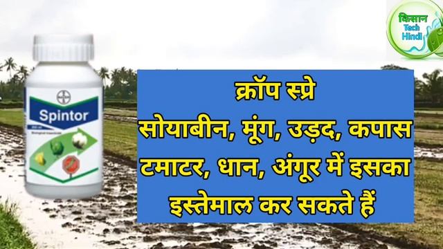 Bayer Spintor Insecticide |Spinosad |Bayer |Spintor Insecticide смотреть онлайн