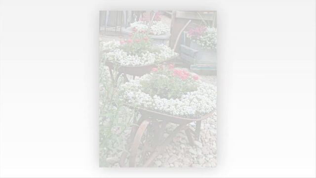 85 Креативных идей мини клумб, которые экономят место и радуют глаз
