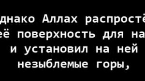 Шейх ибн Баз: "Земля - круглая"