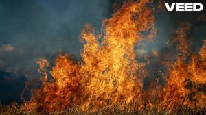 WinterSaber - Огонь и Вода