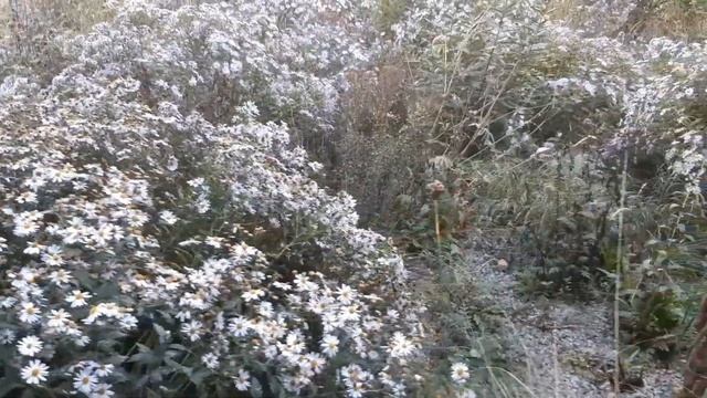 Конституция которая 41 год не нуждалась в поправках День конституции 5 декабря