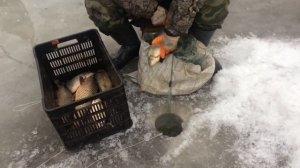Рыбалка сетями ранней весной