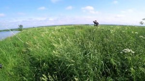 Рыбалка на крокодил, донки, поплавок. Сломал новый спиннинг. Карась козел. Часть № 1.