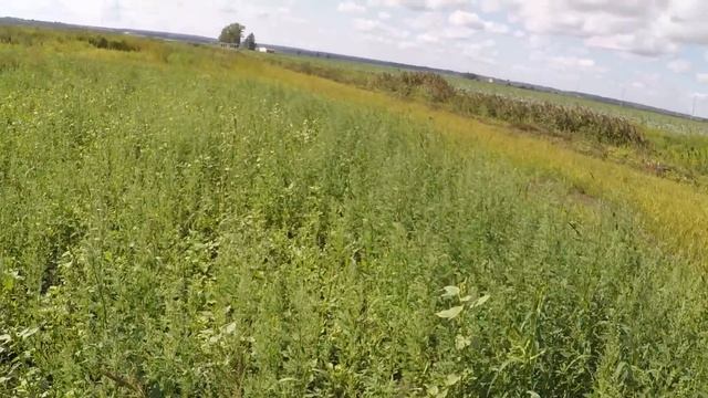 Охота на Утку с подхода 2023г