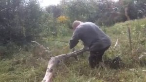 Тест лучковой пилы(адова штучка!)))