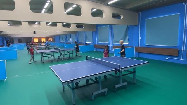 Настольный теннис в Чехове. Турнир в ЦНТ Торнадо. Шаульская Василиса vs Аристарх ???? смотреть онлайн