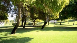 Inside creek park, dubai, uae