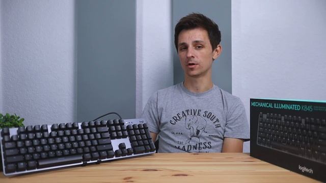 Logitech K845 Mechanical Keyboard Review