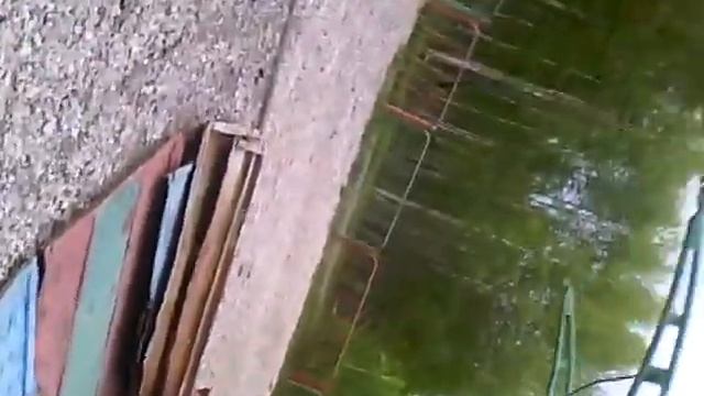 Шлёп шлюп смотреть онлайн