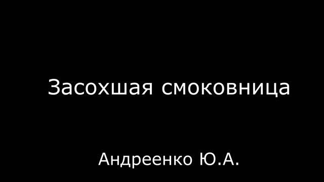 Засохшая смоковница