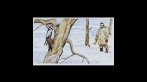 Маленький лесовод (рассказ Г. Скребицкого)