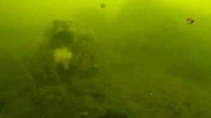 Поклевки карася. Под водой. Ловил поплавочной удочкой  на червя и хлеб. Рыбалка- как вижу её Я