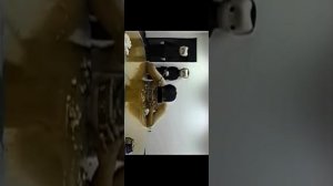 Суп в пустой комнате. разоблачение!