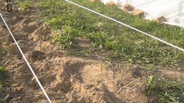 MVI verevka смотреть онлайн