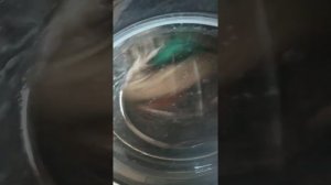 LGF1296HDS3очень хорошая стиральная машинка