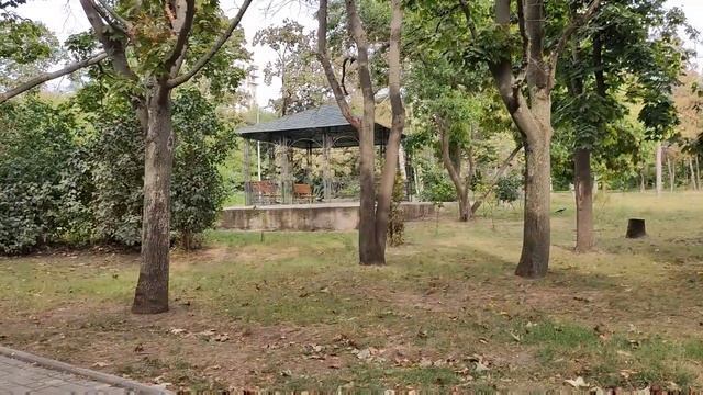 Германия ?? Одесса глазами европейцев?? Прогулка Город Сказка смотреть онлайн