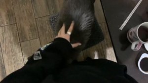 MY HBD | чайная, ночевка, кино и подарки❣️