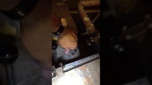 Инструкция по розжигу котла dakon dor 32