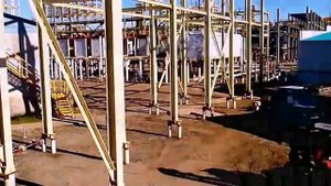 Усинск. На Возее расцвёл иван-чай (Видео клип, 2014)