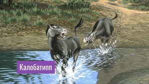 Реальная Эволюция Лошадей. Первобытные лошади