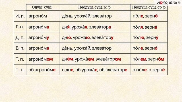 Падежные окончания имён существительных 2 го склонения