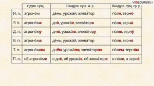 Падежные окончания имён существительных 2 го склонения