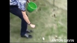 +100500 - Абхазский Андрей Малахов