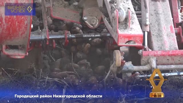 Городецкий район Нижегородской области смотреть онлайн