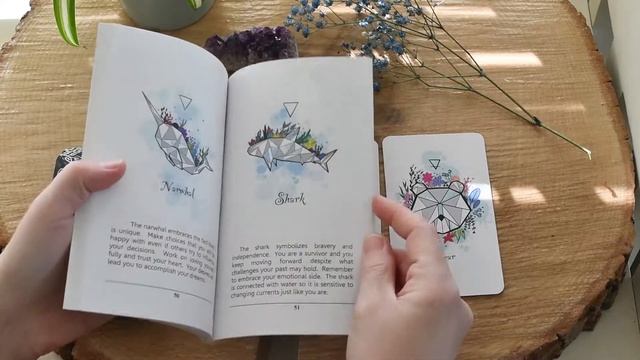 Animal Spirit Oracle Deck смотреть онлайн