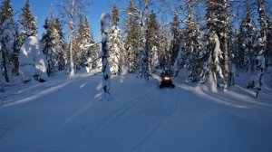 Полтинник.mp4