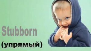 Раствор для кладки газобетона. Дешевле и выгоднее клея.