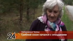 В Набережных Челнах продолжается сезон тихой охоты