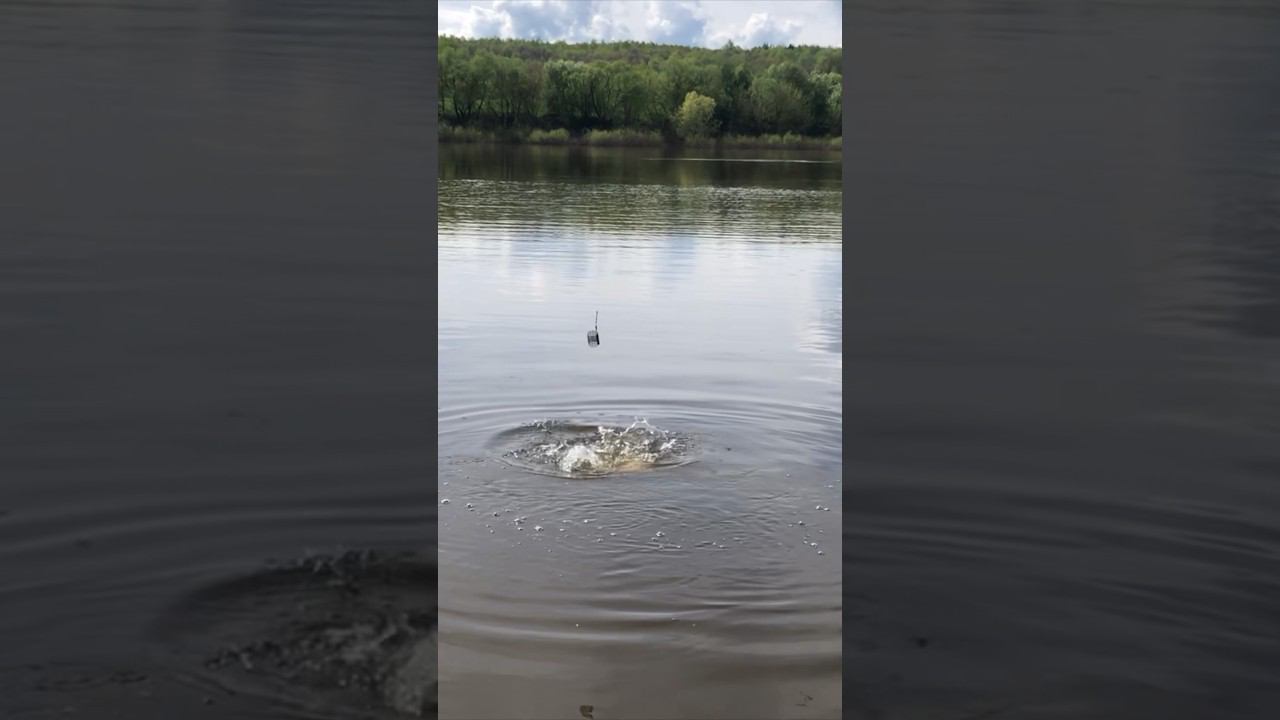 ВЕСЕННИЙ ТРОФЕЙ на ФИДЕР #fishing #рыбалка2024 #рыбалка #рыбалканареке #рыбалка2023 #рыба #fish смотреть онлайн