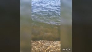 музыка для душа