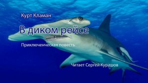 В диком рейсе. Аудиокнига, приключения, мистика, морские приключения, морские рассказы