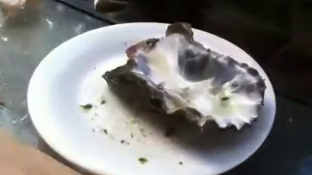 Bill Mollison Eats Giant Oysters