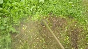 Stihl fs 450 work at home