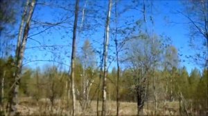СВИРЬЛАГ .  Редо - ручей(РЕДЫ)   Подпорожский р-он