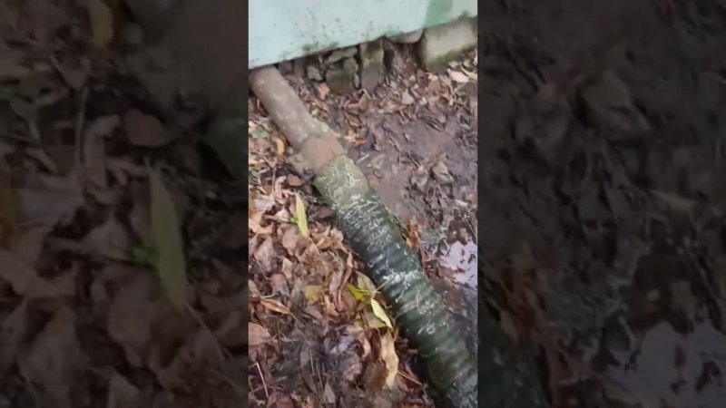 Г. так и продолжает хлестать в Волгу