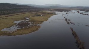 Разлив реки Вихоревка