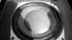 концертная колонка в машине