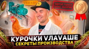 Почему шаверма VЛАVАШЕ такая вкусная?
Добро пожаловать НА ПРОИЗВОДСТВО