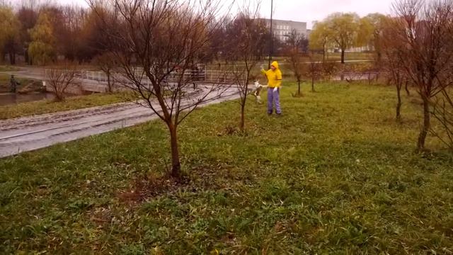 Рэйчел Вайс на прогулке 23.11.13г. часть 3