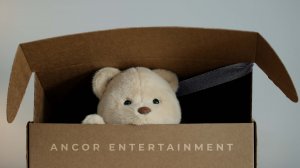 Teddy Bear from ANCOR